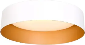 Bargeni 744702751029 Led Ceiling Light Fixture 12.5 Inch Inch-1 Pack Matte White