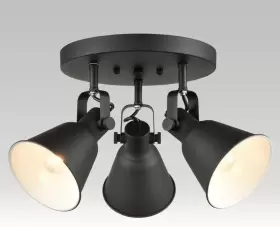 Diryzon 723576371892 Eul Multi-directional Ceiling Spot Metal Matte Black