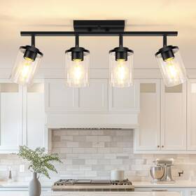 Fadimikoo Sfgcl-4cgs 4-lights Track Lighting Fixtures Ceiling With Clear Black