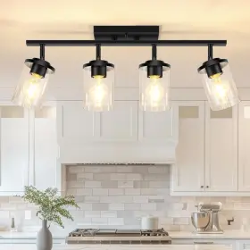 Sfgcl-4cgs Fadimikoo 4-lights Track Lighting Fixtures Ceiling With Clear Black
