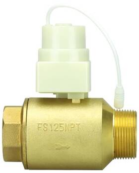Floodstop 20087 Water Heater Motorized Ball Valve 1-1/4 Npt Mip X Fip