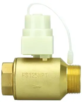 20087 Floodstop Water Heater Motorized Ball Valve 1-1/4 Npt Mip X Fip