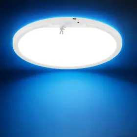 Clf00509usb-c Kindeep Bedroom Ceiling Light With Night 1 Pack White Rgb Backlight