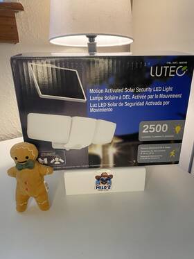 Luteq 30028308 Motion Sensor Light