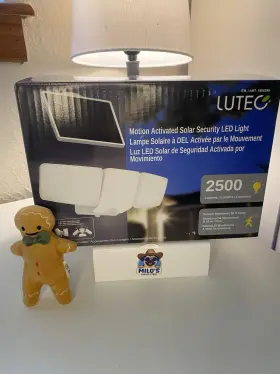 30028308 Luteq Motion Sensor Light
