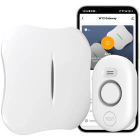 Metak Wifi-w13 Wd61 Wifi Water Leak Detector For Home With App Notification 1 Gateway Wd61 S
