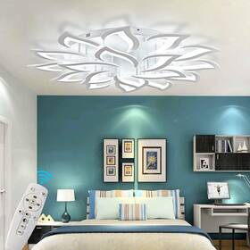 Panghuhu88 641320518624 Modern Ceiling Lamp Dimmable Led Lights 18 Head White