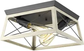 P350039-143 Progress Lighting Briarwood Collection 2-light Ceiling Graphite