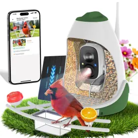 Cg6-wnq-03 Rxkj Smart Bird Feeder With Ai Camera Auto Id Hd Live Streaming Mobile App Alerts