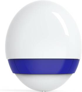 Systems Inc 104028 Outdoor Siren With Strobe Sounds Alarm And Flashes Light Outside When Is Tri