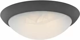 6308900 Westinghouse Lighting Corp 63089 11 Inch Oil Rubbed No Size Oil-rubbed Bronze 6308900 Westinghouse Lighting Corp 63089 11 Inch Oil Rubbed No Size Oil-rubbed Bronze