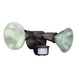 Designers Edge L6003BR Twin Head Motion Activated Security Floodlight 240 Watt New. Price: $35.00.