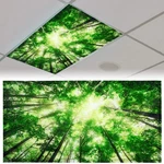 Patelai 4 X 2 Feet Fabric Fluorescent Light Cover For Ceiling Ft, Green New. Price: $17.29.