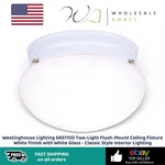 Westinghouse Lighting 6661100 Two-light Flush-mount Ceiling Fixture White Finish Open. Price: $39.99.