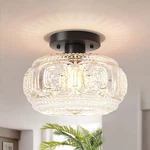 Oykyohei Semi Flush Mount Ceiling Light, Globe Glass 9.38 Inch, Black New. Price: $42.99.