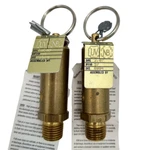 Apollo Valves RVA15 15-112 Air Relief Valve, 1/4 Npt, 125 Psig New. Price: $16.99.
