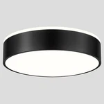 Goomavi Flush Mount Ceiling Lights, Modern 15.74", Black(acrylic Trim) New. Price: $68.97.