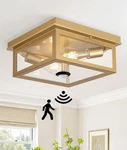Lynnoland Motion Sensor Outdoor Ceiling Light With Remote, 12.2 Inch, Gold New. Price: $90.29.