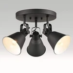 Diryzon Eul Multi-directional Ceiling Spot Light,adjustable Round Track Light... New. Price: $100.69.