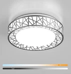 Lightania 12 Inch Flush Mount Ceiling Light, Modern Brushed Nickel Led Open. Price: $30.00.