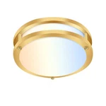 Hykolity 10 Flush Mount Led Ceiling Light Fixture, 17W Inch, Gold New. Price: $42.46.