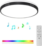 Music Ceiling Light, Flush Mount BLACK-24W Lamp New. Price: $59.75.