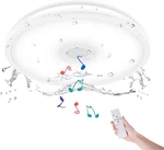 Bathroom Ceiling Light Fixture, Waterproof IP65 18W Led Music Lamp With New. Price: $51.25.