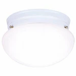 Westinghouse 6661100 Two-light Flush-mount Interior Ceiling Fixture New. Price: $89.07.