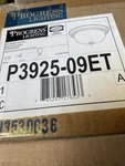 Progress Lighting 2-LIGHT Brushed Nickel Flush Mount P3925-09ET New. Price: $24.99.
