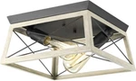 Progress Lighting P350039-143 Briarwood 2-LIGHT Graphite Farmhouse Ceiling New. Price: $49.95.