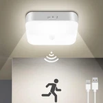 Whitepoplar Rechargeable Motion Sensor Closet Light, Battery Ope... New. Price: $35.06.
