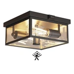 Craftersmark Outdoor Ceiling Light With Motion Sensor, Flush Pack, 10.5 New. Price: $79.70.