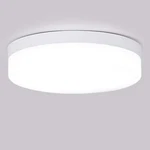 Dllt 12W Led Flush Mount Ceiling Light, 4.72" Flat Modern Round Lighting Fixt... New. Price: $28.78.