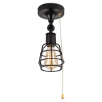 Industrial Farmhouse Close To Ceiling Light With Pull Chain 1 Black Sem... New. Price: $94.90.