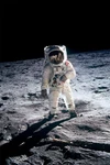 Buzz Aldrin Walking The Moon Apollo 11 Landing Wall Art - Poster 20"X30" New. Price: $23.99.