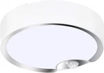 Toowell Motion Sensor Ceiling Light Battery Operated Indoor/outdoor Led New. Price: $34.99.