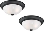 588251 Traditional 2-LIGHT Indoor Dimmable Ceiling With Alabaster Glass Fo New. Price: $29.99.