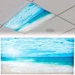 Patelai 4 X 2 Feet Fluorescent Light Cover For Fabric Ceiling Sea Wave New. Price: $13.14.