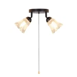 Shengqingtop 2-LIGHT Flush Mount Ceiling With Pull Chain Clear And Fros... New. Price: $63.28.
