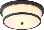 12 Inch Flush Mount Ceiling Light, 2-LIGHT Close To Black New. Price: $75.45.
