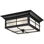 Westinghouse 6204800 Orwell Light 11"W Led Outdoor Flush Mount New. Price: $73.29.