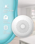 Ecoey Water Leak Detector & Alarm Sensor, Smart Wifi, Tuya App, FJ156A-H14. Open. Price: $12.99.