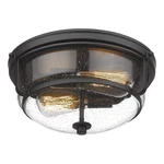 Emliviar 12 Inch Ceiling Light With Seeded Glass Shade - Indoor Outdoor Black New. Price: $105.49.