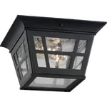 Sea Gull Lighting 78131-12 Herrington Two Outdoor Ceiling Flush Mount... New. Price: $107.53.