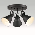 Diryzon Eul Multi-directional Ceiling Spot Light,adjustable Round Track Lighting New. Price: $76.80.