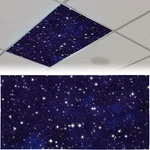Patelai 4 X 2 Feet Fluorescent Cover For Ceiling Lights Magnetic Light... New. Price: $13.14.