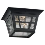 Sea Gull Lighting 78131-12 Herrington Two Outdoor Ceiling Flush Mount... New. Price: $89.76.