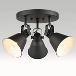 Diryzon Eul Multi-directional Ceiling Spot Light,adjustable Round Track Light... New. Price: $71.00.